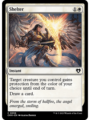 Shelter | Inglés | NM | CMM