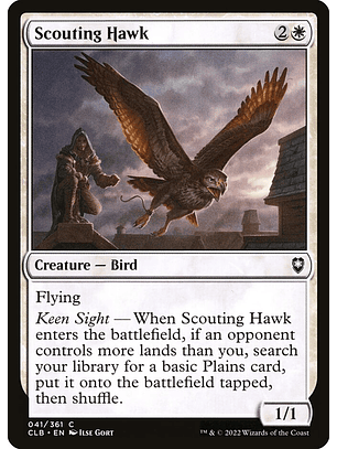 Scouting Hawk | Inglés | NM | CLB