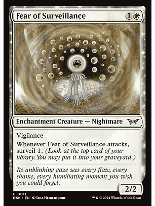 Fear of Surveillance | Español | NM | DSK