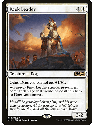Pack Leader | Español | EX | M21