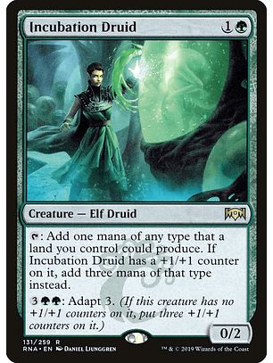 Incubation Druid | Inglés | EX | RNA