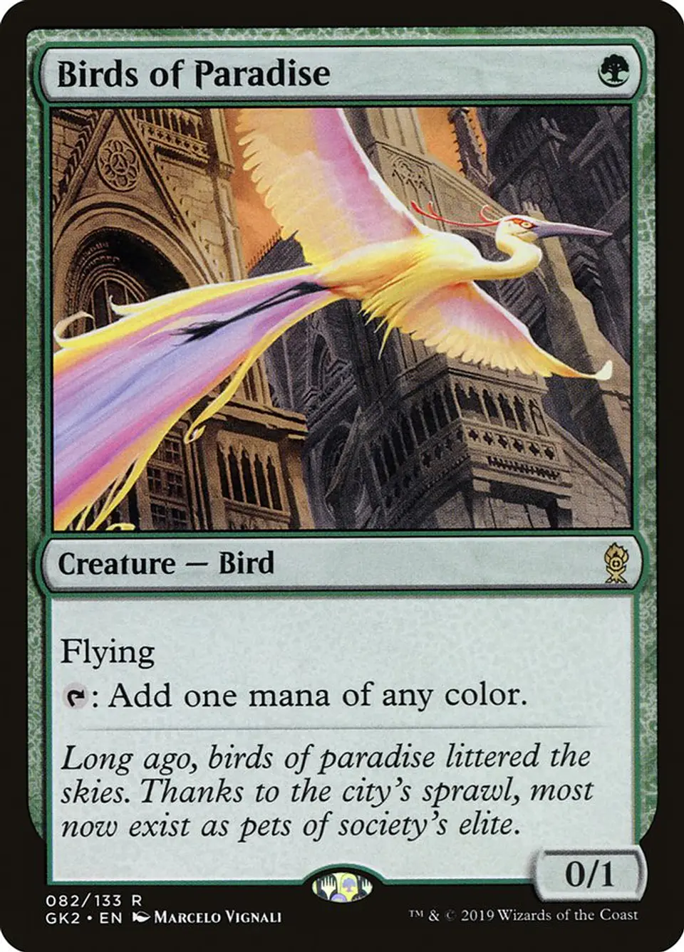 Birds of Paradise | Inglés | NM | GK2 1