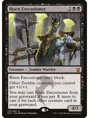 Risen Executioner | Español | VG | DTK