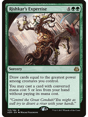 Rishkar's Expertise | Español | NM | AER