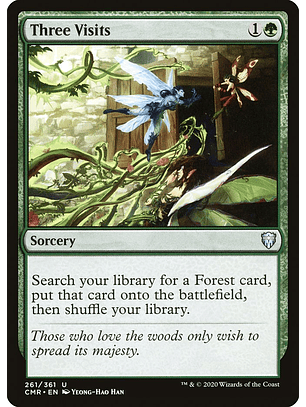 Three Visits | Español | NM | CMR