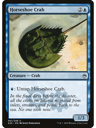 Horseshoe Crab | Inglés | NM | A25