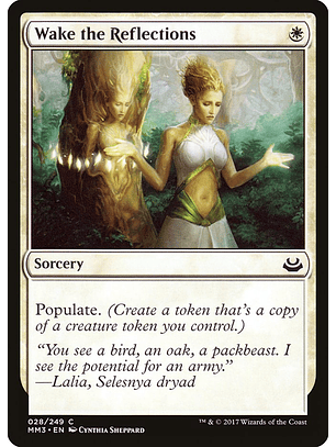 Wake the Reflections | Inglés | NM | MM3