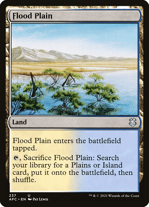 Flood Plain | Inglés | NM | AFC