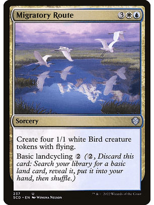 Migratory Route | Inglés | NM | SCD