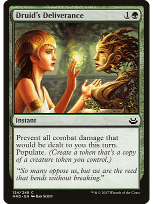 Druid's Deliverance | Inglés | NM | MM3