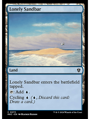Lonely Sandbar | Inglés | NM | MKC