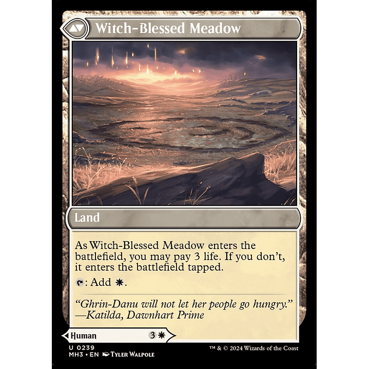 Witch Enchanter // Witch-Blessed Meadow | Inglés | NM | MH3 2