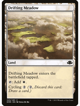 Drifting Meadow | Inglés | NM | DMR