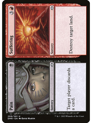 Pain // Suffering | Inglés | NM | DMR
