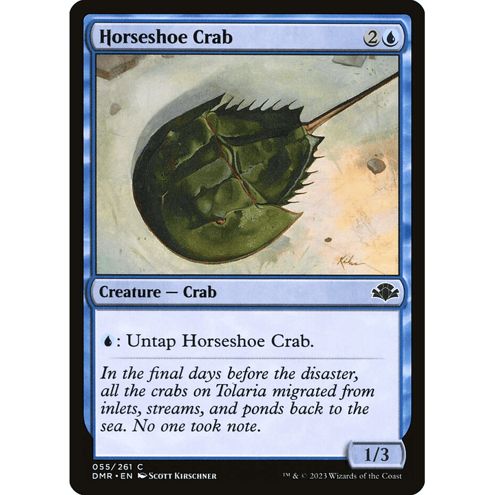 Horseshoe Crab | Inglés | NM | DMR 1