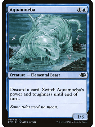 Aquamoeba | Inglés | NM | DMR