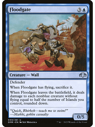 Floodgate | Inglés | NM | DMR