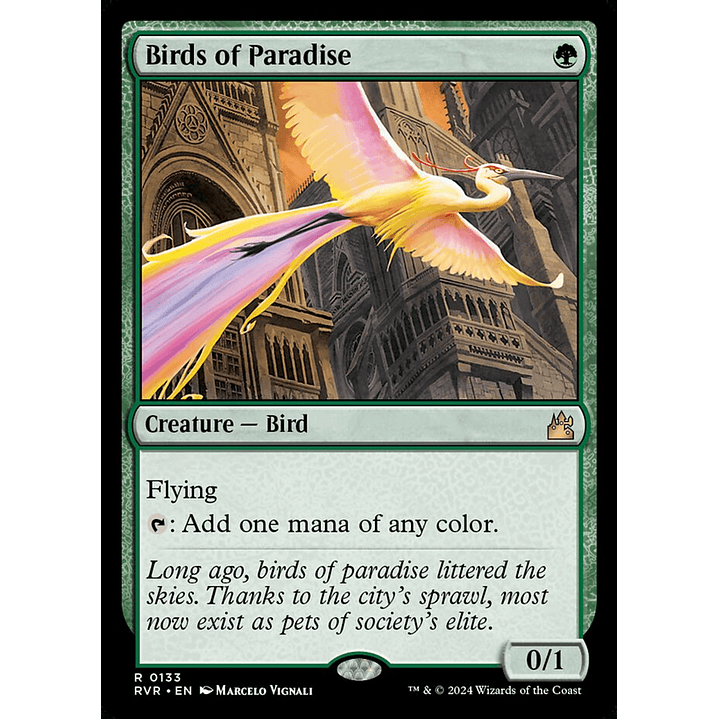 Birds of Paradise | Inglés | NM | RVR 1