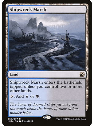 Shipwreck Marsh | Inglés | NM | MID