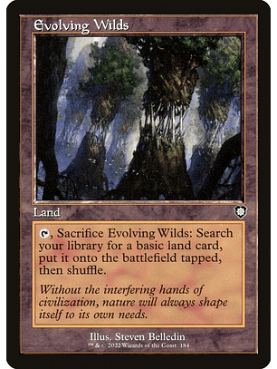 Evolving Wilds (Retro Frame) | Español | EX | BRC