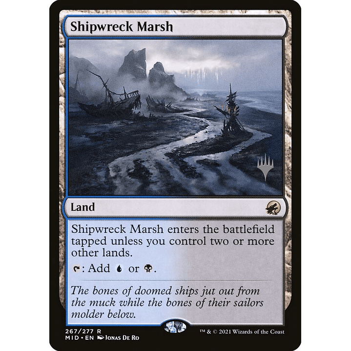 Shipwreck Marsh | Español | NM | PMID 1