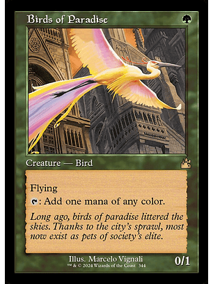 Birds of Paradise (Retro Frame) | Inglés | NM | RVR