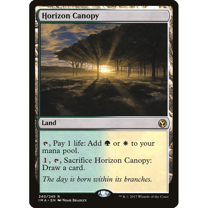 Horizon Canopy | Inglés | NM | IMA 1