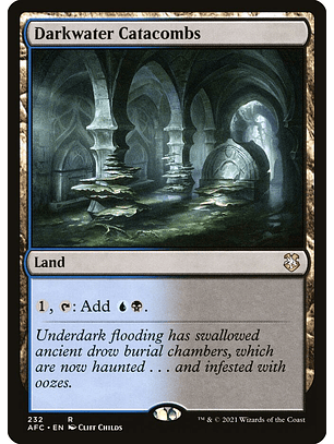 Darkwater Catacombs | Inglés | EX | AFC