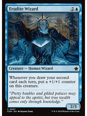 Erudite Wizard | Inglés | NM | FDN