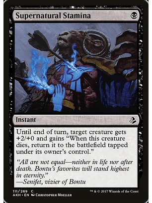 Supernatural Stamina | Inglés | EX | AKH