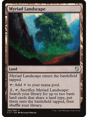 Myriad Landscape | Inglés | EX | C17