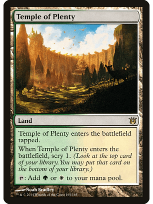 Temple of Plenty | Inglés | VG | BNG