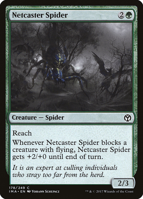 Netcaster Spider | Inglés | NM | IMA
