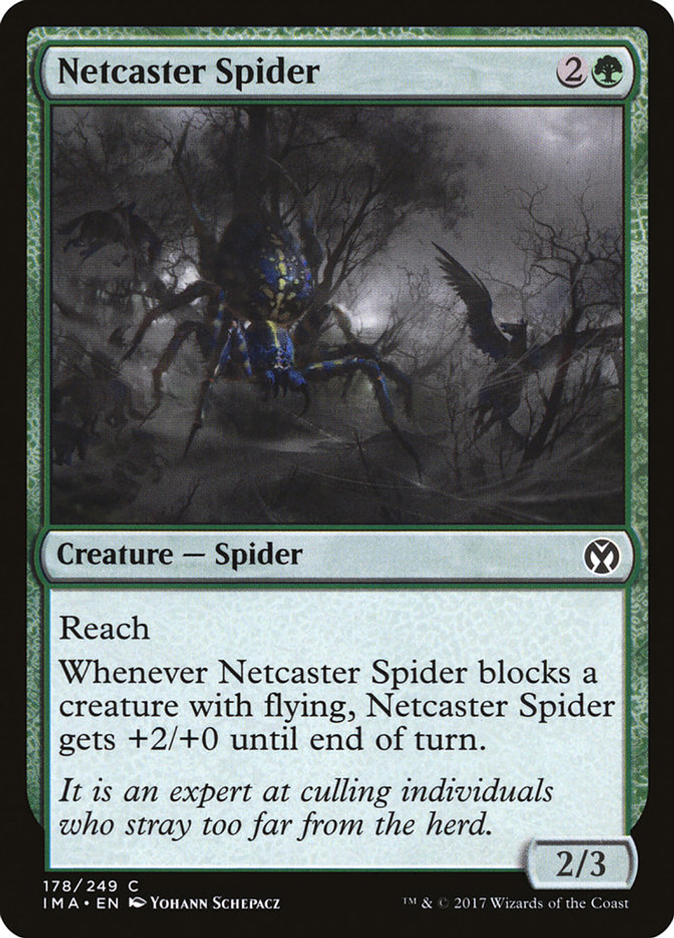 Netcaster Spider | Inglés | NM | IMA 1