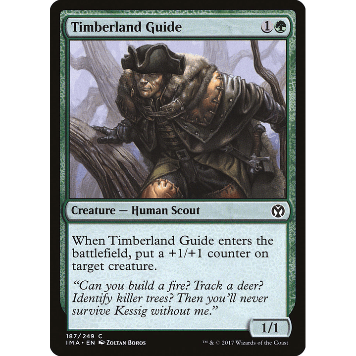 Timberland Guide | Inglés | NM | IMA 1