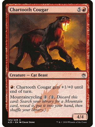 Chartooth Cougar | Inglés | NM | A25