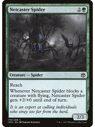 Netcaster Spider (foil) | Inglés | NM | IMA