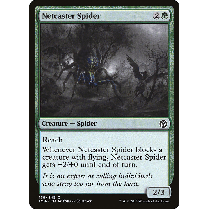 Netcaster Spider (foil) | Inglés | NM | IMA 1