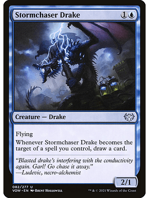 Stormchaser Drake | Inglés | NM | VOW