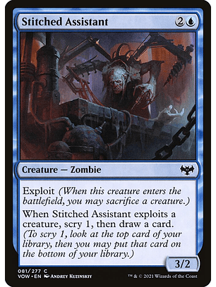 Stitched Assistant | Inglés | NM | VOW