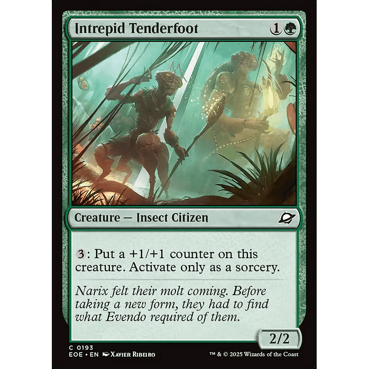 Intrepid Tenderfoot | Inglés | NM | EOE 1