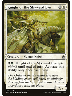 Knight of the Skyward Eye | Inglés | NM | A25