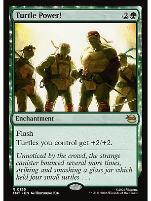 Turtle Power! | Inglés | NM | TMT