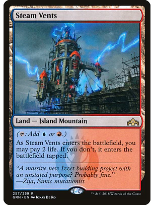 Steam Vents | Inglés | NM | GRN
