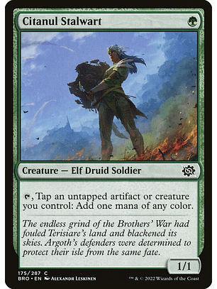 Citanul Stalwart (foil) | Inglés | NM | BRO