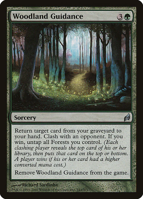 Woodland Guidance | Inglés | NM | LRW