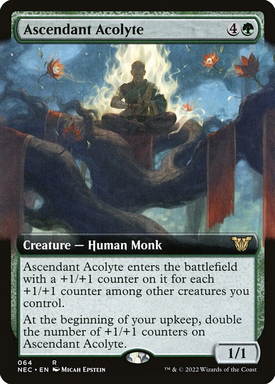 Ascendant Acolyte (Extended Art) | Inglés | NM | NEC 1