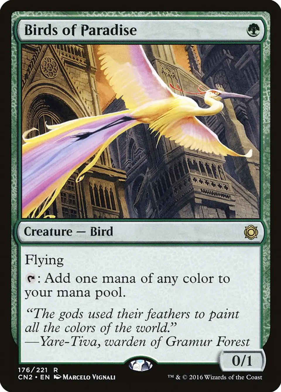 Birds of Paradise | Inglés | NM | CN2 1