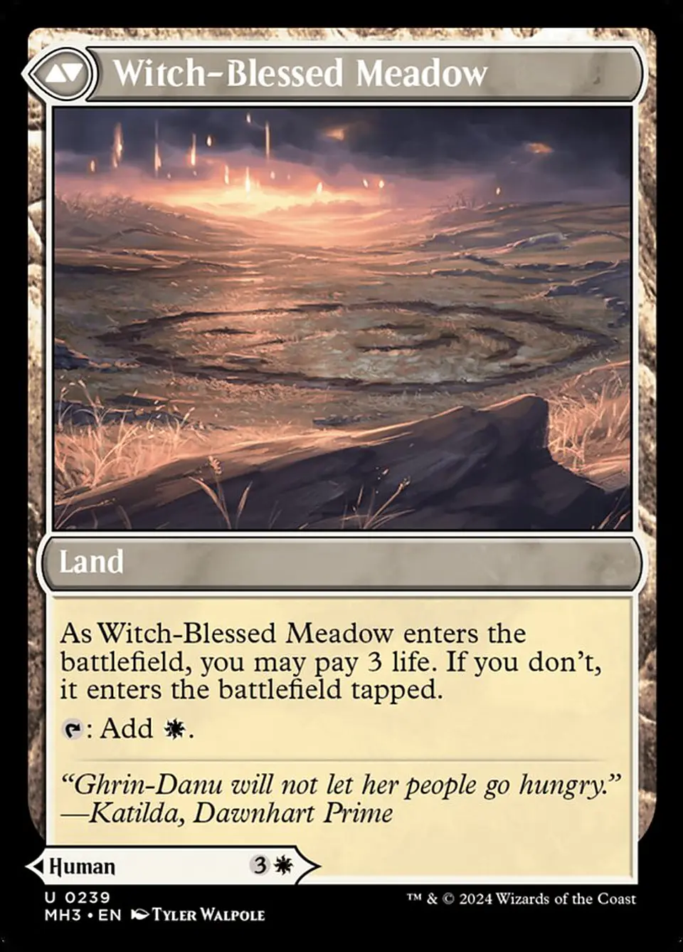 Witch Enchanter // Witch-Blessed Meadow | Español | NM | MH3 2