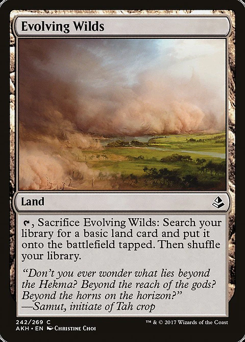 Evolving Wilds | Inglés | NM | AKH